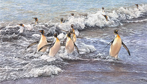 Original Paintings of Penguins