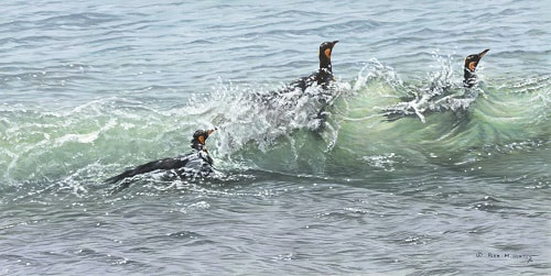 Penguins Swimming by Alan M Hunt