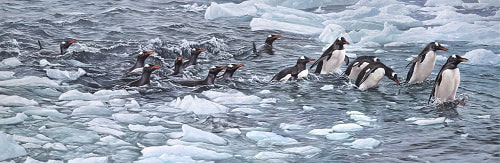 Paintings of Penguins