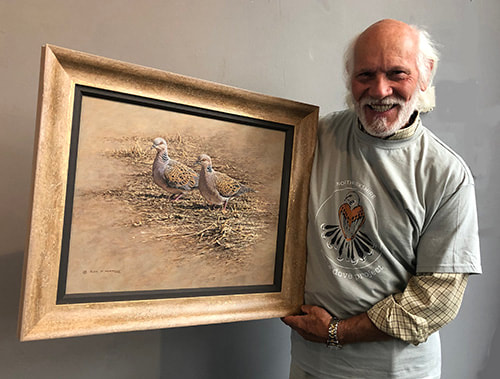 Turtle Dove Conservation Auction Painting