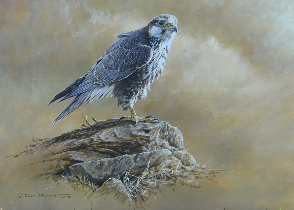 Donated Lugger Falcon Painting to Project Lugger