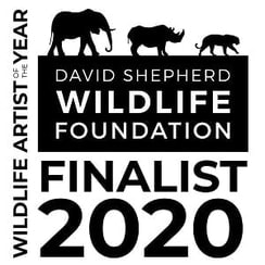 Wildlife Artist of the Year 2020 Finalist