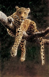 Hypnotic Leopard Print