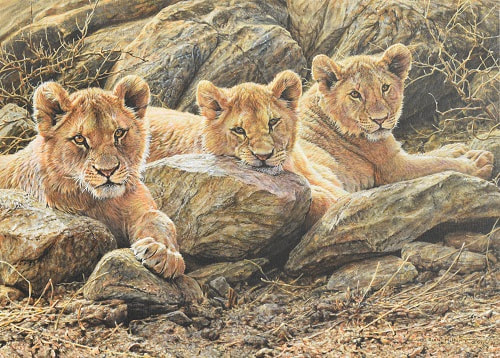 Painting of Lion Cubs