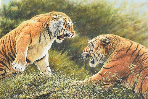 Painting of Tigers Fighting