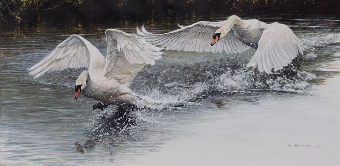 Original Painting of Swans