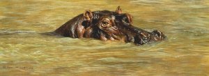 Hippo Paintings for Sale