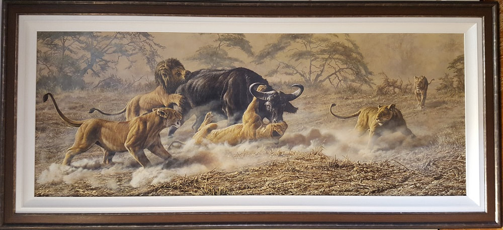 Pride of Lions attacking Buffalo Painting by Alan M Hunt