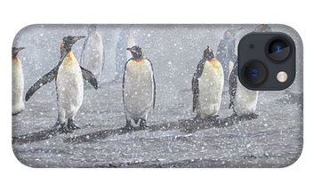 iphone bespoke wildlife penguin case