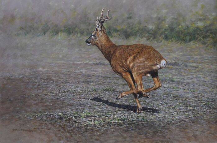 Deer Painting by Alan M Hunt