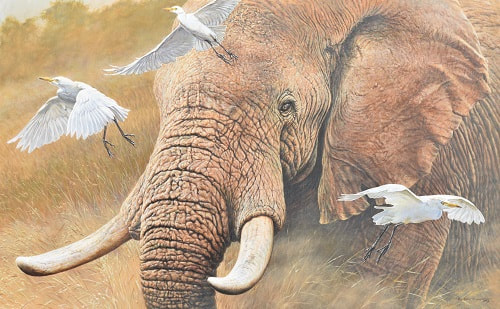 African Elephant Wildlife Paintings