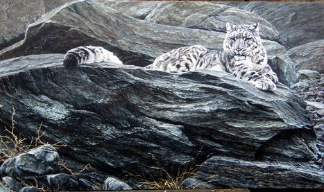 Snow Leopard Paintings for sale
