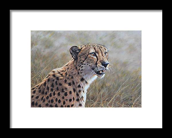 Cheetah Wall Art Prints