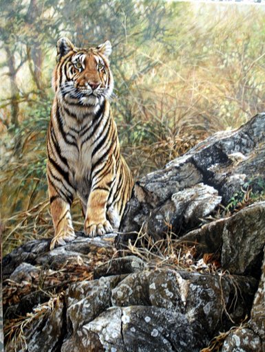 The Best Tiger Paintings