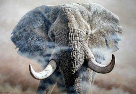 Original Elephant Paintings