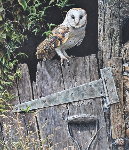 Barn Owl Bird of prey painting