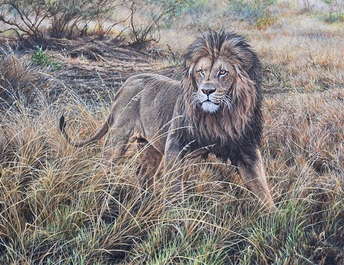 All He Survey Wildlife painting by Alan M Hunt