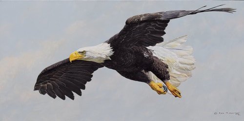 American Bald Eagle Painting