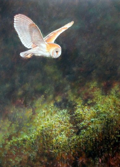Barn Owl Painting For Sale