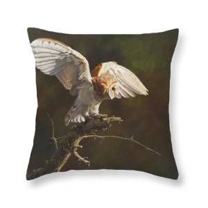 Cushions With Wildlife