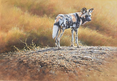 African Painted Hunting Dog Painting
