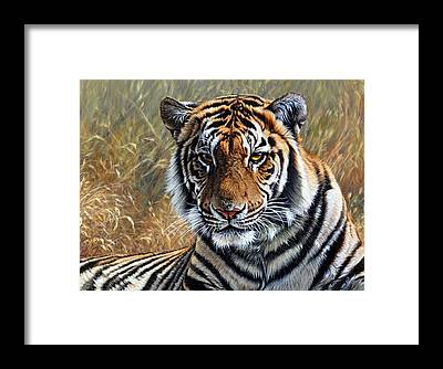 Tiger Art Prints on Social Media