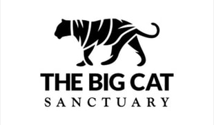 Big Cat Sanctuary Charity Auction
