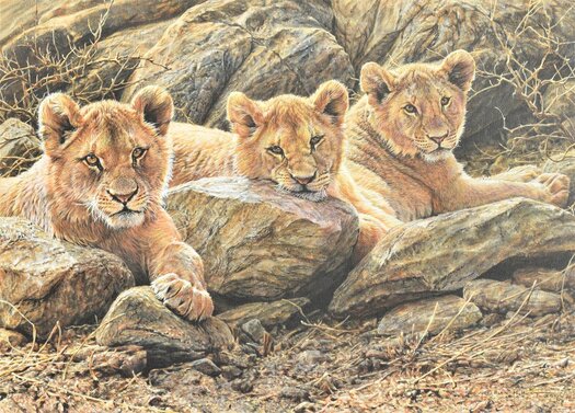 Lion Cub Painting Picture