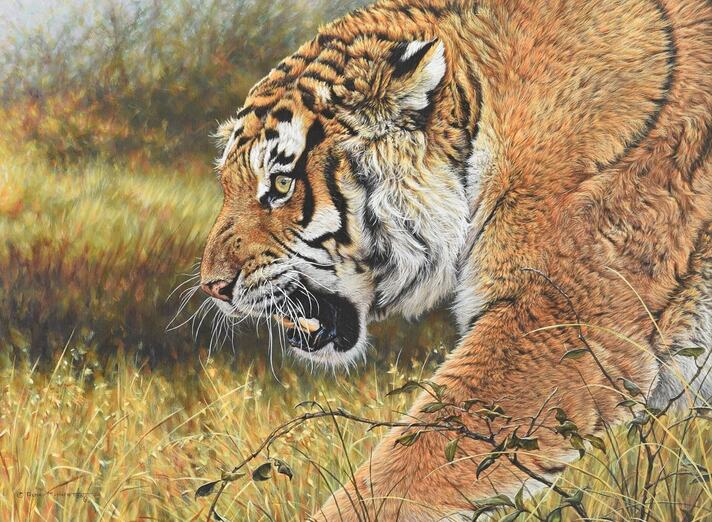 Amazing Wildlife Art by Alan M Hunt on YouTube and TikTok