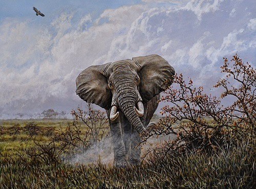Elephant Painting by Alan M Hunt