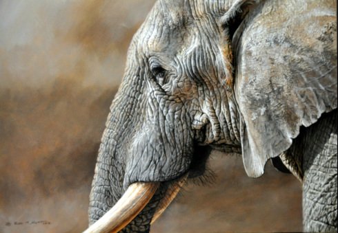 Original Paintings of Elephants