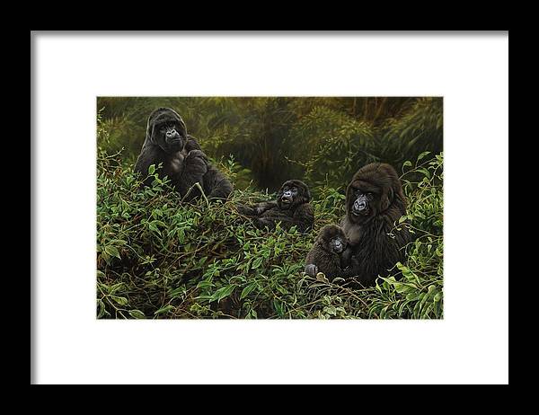 Gorilla Art Prints and Merchandise