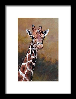 Giraffe Art Prints and Merchandise
