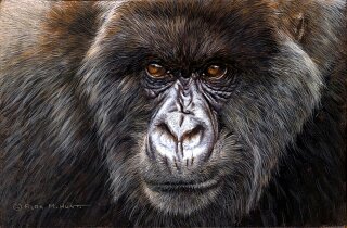 Original Gorilla Paintings for Sale