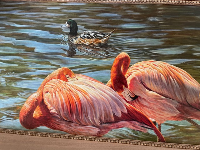 Flamingos close up by ALan M Hunt
