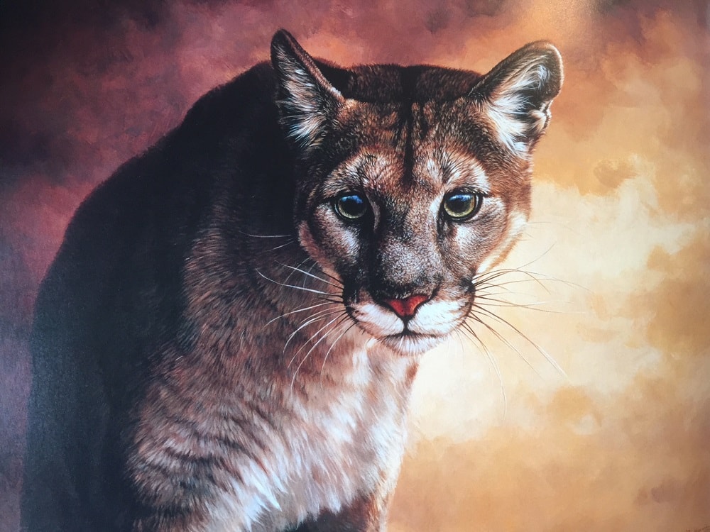 Original Puma Painting