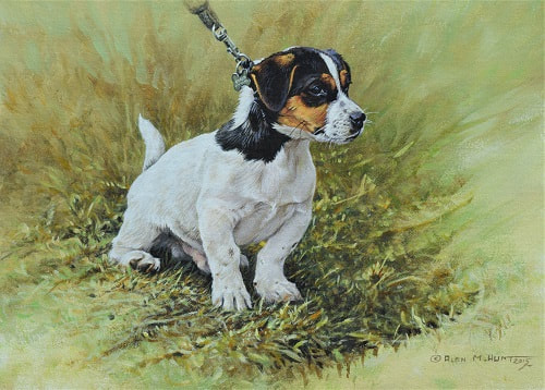 Jack Russel Painting by Animal Artist Alan M Hunt
