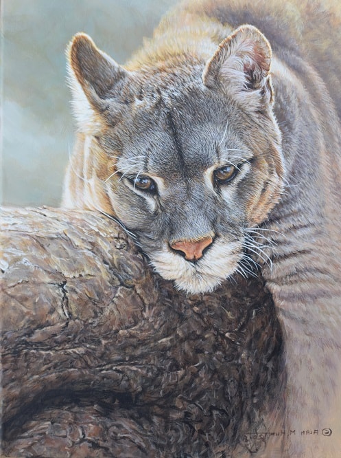 Original Cougar Painting