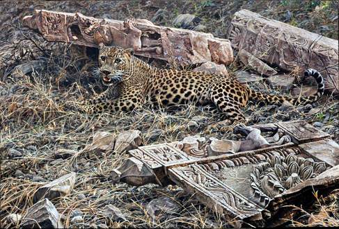 Paintings of Leopards for sale