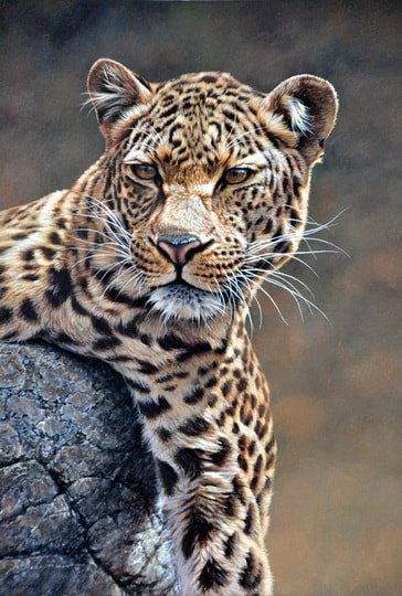 Original Leopard Painting