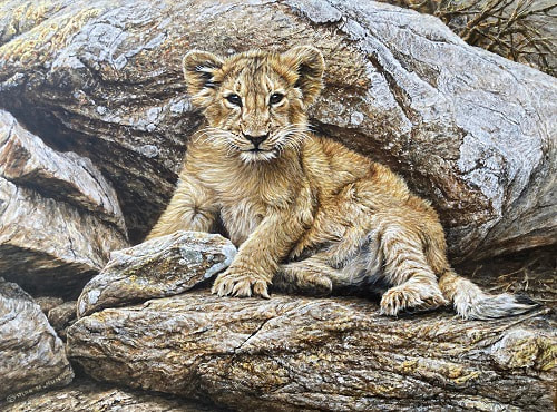 Lion Cub Painting by Alan M Hunt