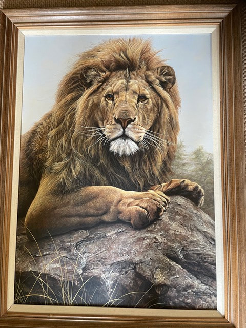 Lion on Rock by Alan M Hunt