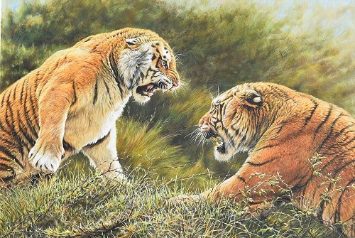 Lovers Tiff Paintings of big cats