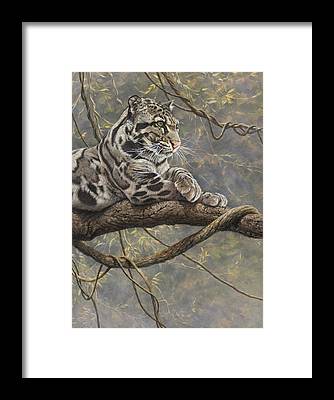 Clouded Leopard Prints