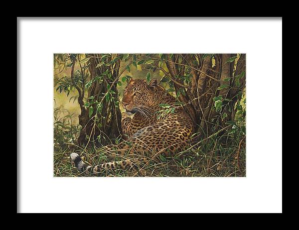 Leopard Art Prints and Merchandise