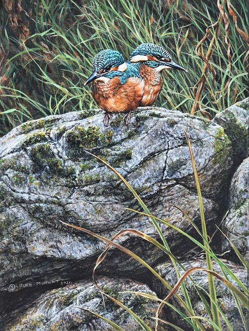 Painting of a pair of Juvenile Kingfishers