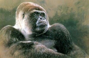 Male Gorilla Painting