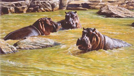 Original Hippo Painting for sale