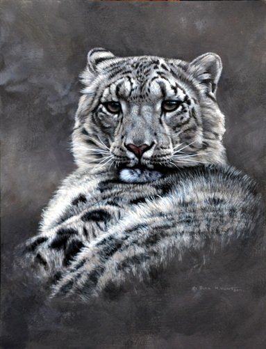 Snow Leopard Paintings