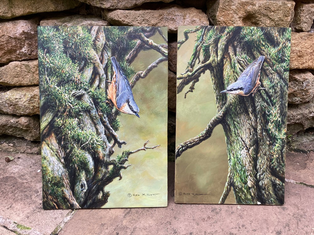 Pair Nuthatch Paintings
